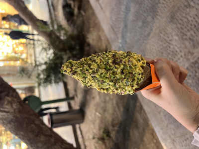 IMG_0168.jpeg